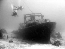 Theo's Wreck in the Bahamas. First wreck dive and what an... by Kelly N. Saunders 